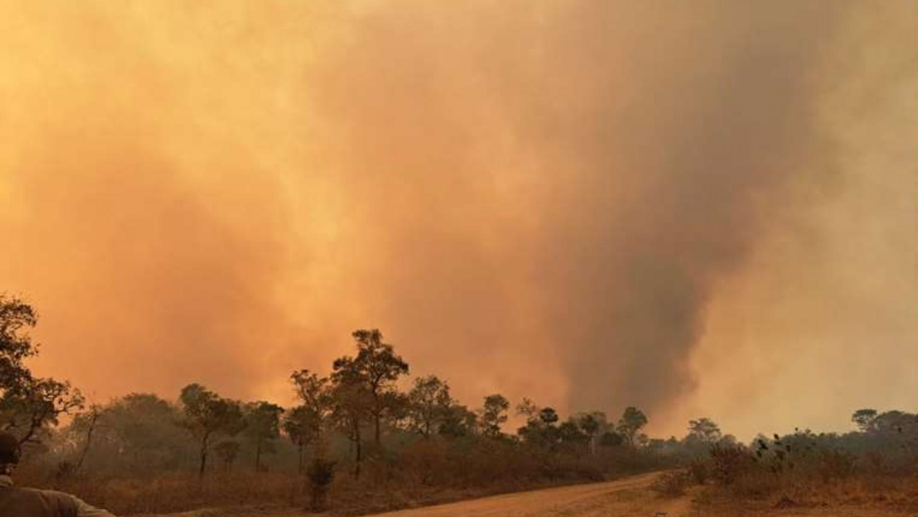 Santa Cruz en llamas 